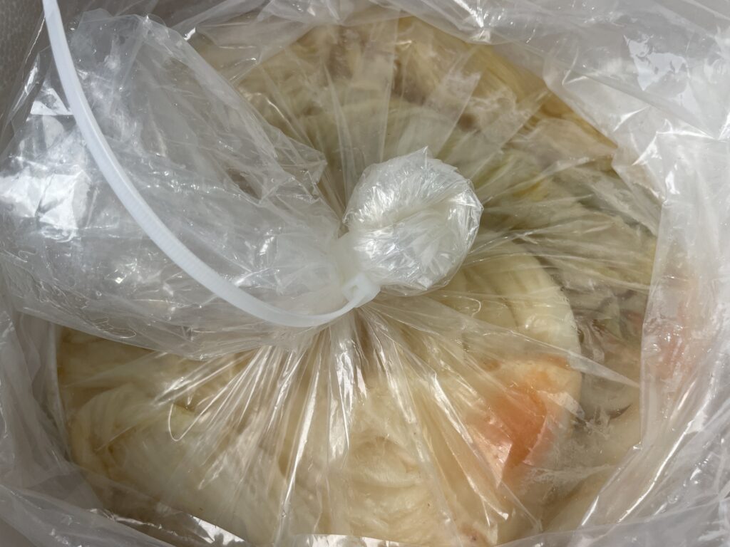 업송용 씻은김치 중국산