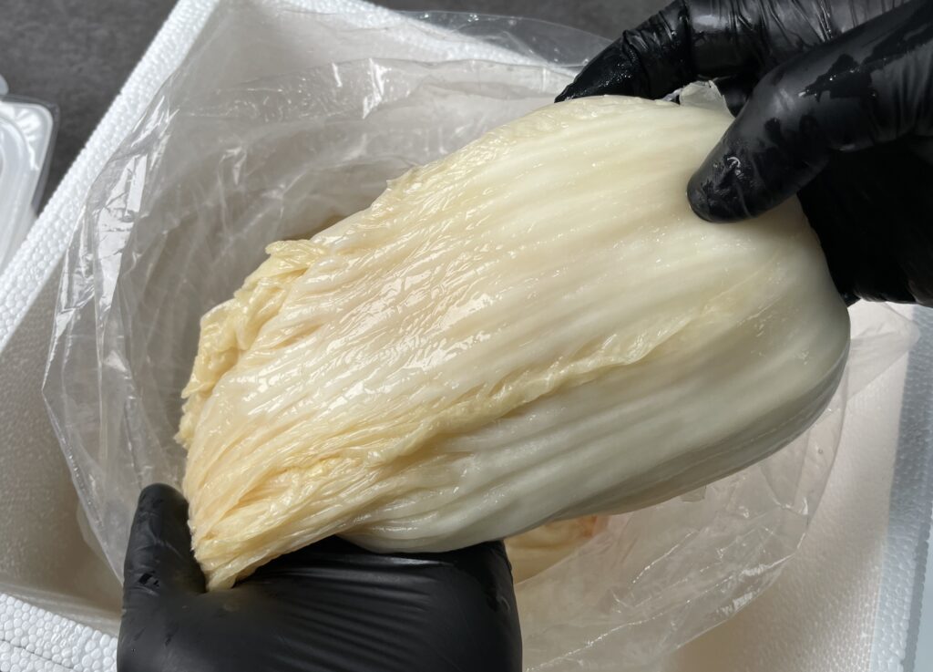 중국산 씻은김치