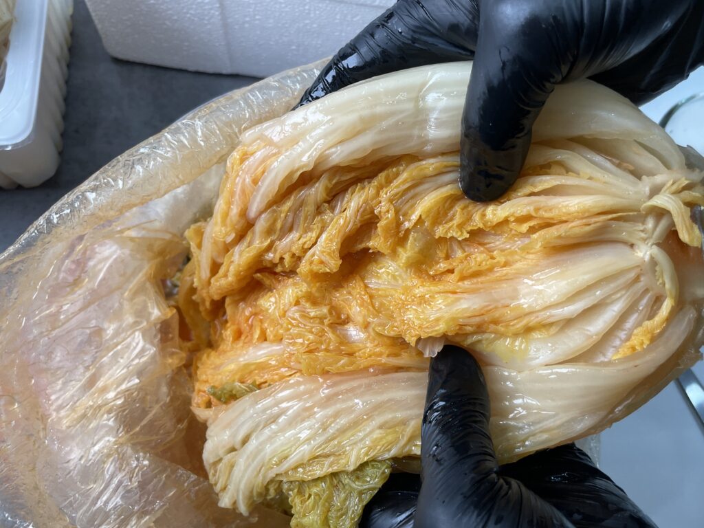 백묵은지 관찰중