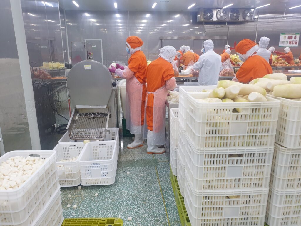 해썹을 인증받은 중국김치공장