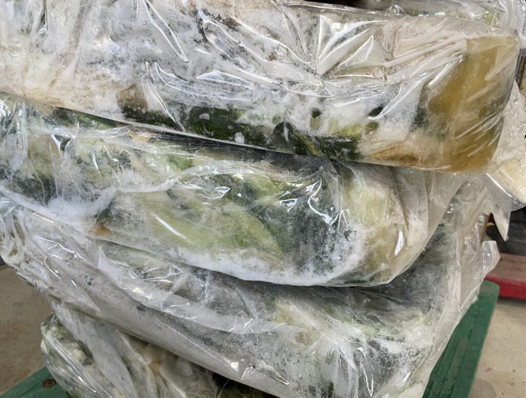 업송용 냉동 우거지
