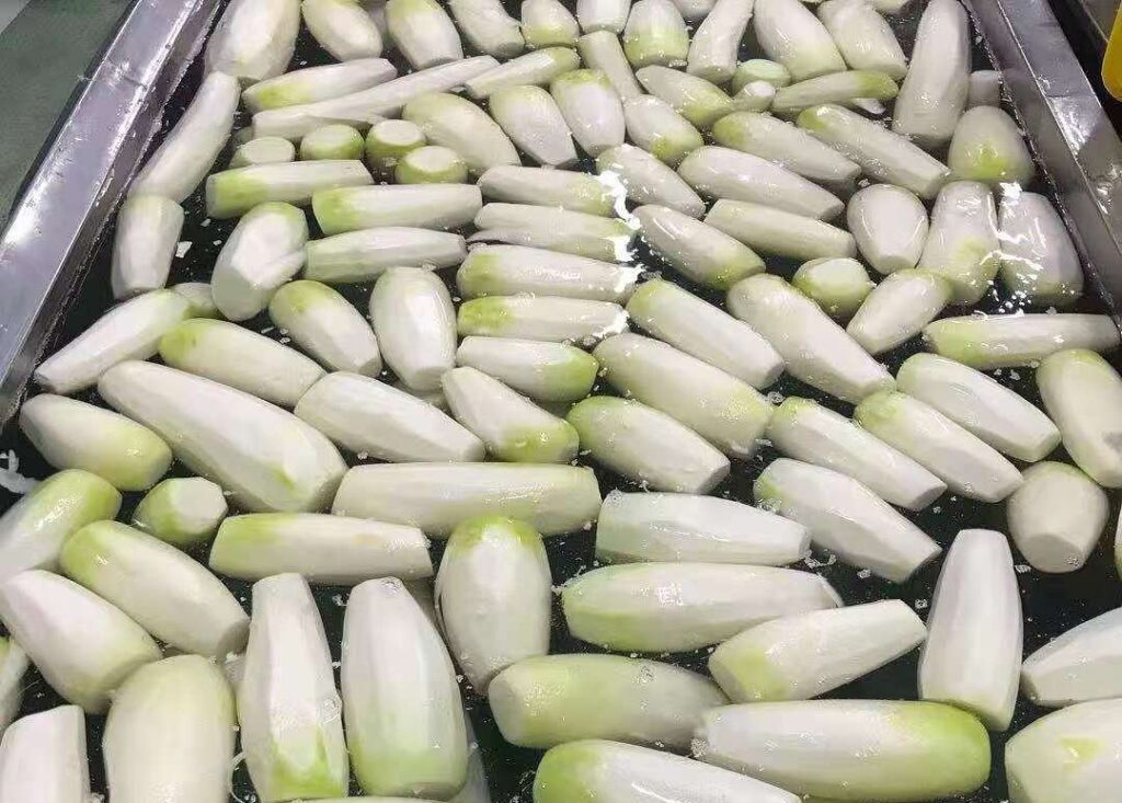 깍두기 무